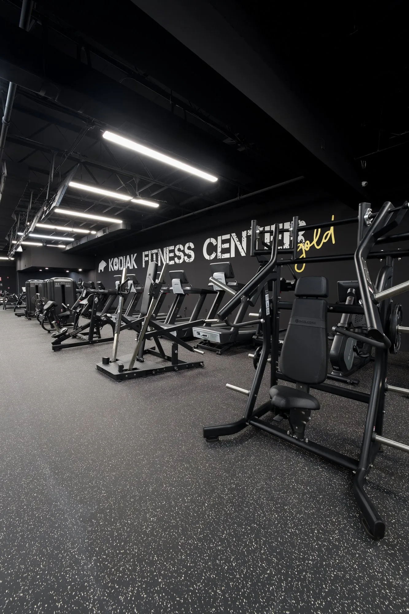 Kodiak Gold commercial gym fitted with Skelcore equipment
